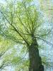 bild 010